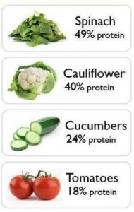 Foods with High Protein Content - GymMembershipFees
